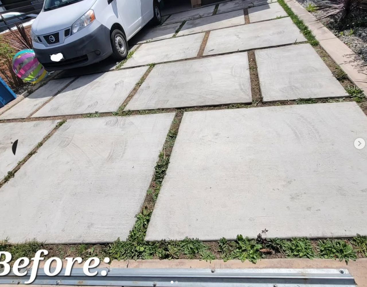 Turf Between Concrete Pavers — before